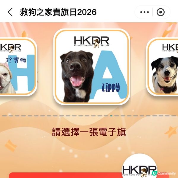 原來支付寶都可以賣旗，一齊撐「救狗之家」賣旗日