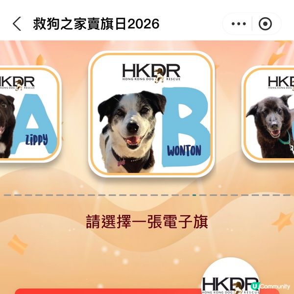 原來支付寶都可以賣旗，一齊撐「救狗之家」賣旗日