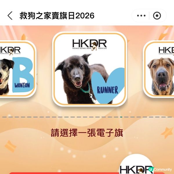 原來支付寶都可以賣旗，一齊撐「救狗之家」賣旗日