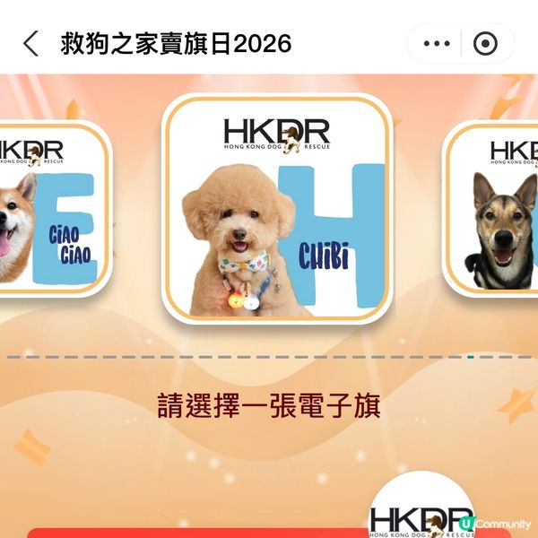 原來支付寶都可以賣旗，一齊撐「救狗之家」賣旗日
