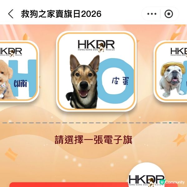 原來支付寶都可以賣旗，一齊撐「救狗之家」賣旗日