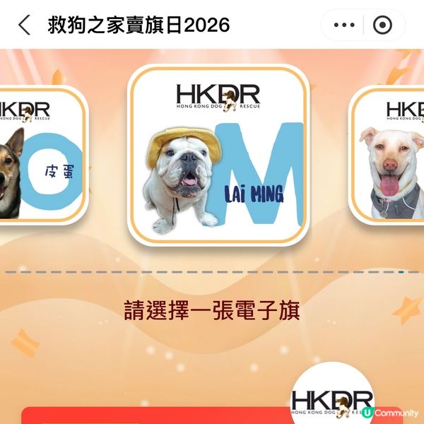 原來支付寶都可以賣旗，一齊撐「救狗之家」賣旗日