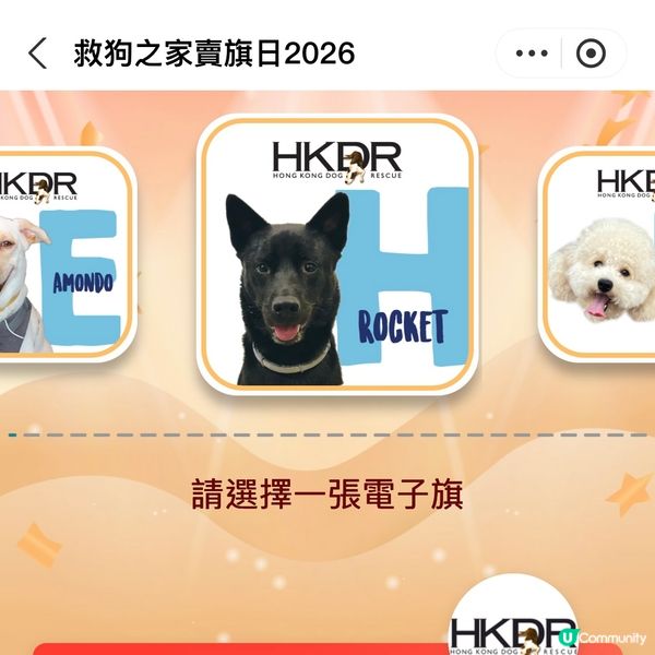 原來支付寶都可以賣旗，一齊撐「救狗之家」賣旗日