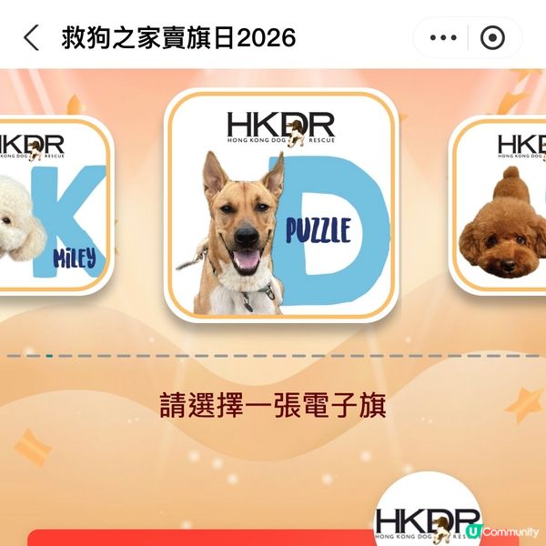 原來支付寶都可以賣旗，一齊撐「救狗之家」賣旗日