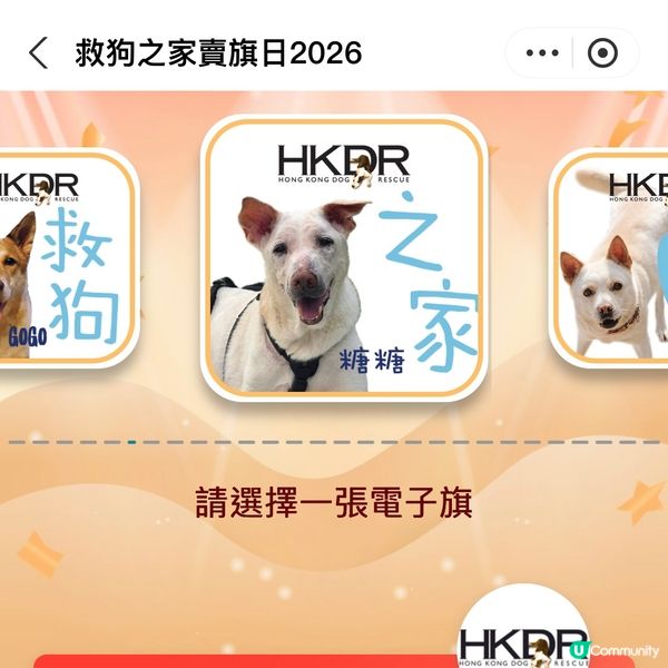 原來支付寶都可以賣旗，一齊撐「救狗之家」賣旗日