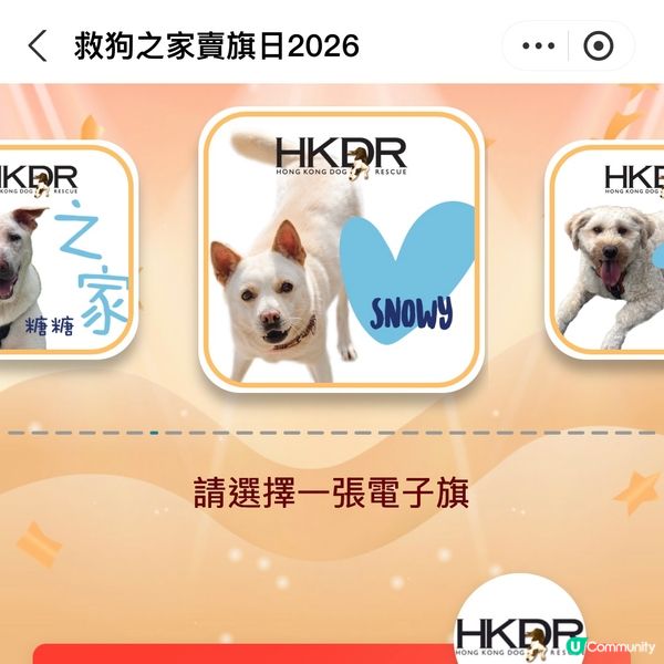 原來支付寶都可以賣旗，一齊撐「救狗之家」賣旗日