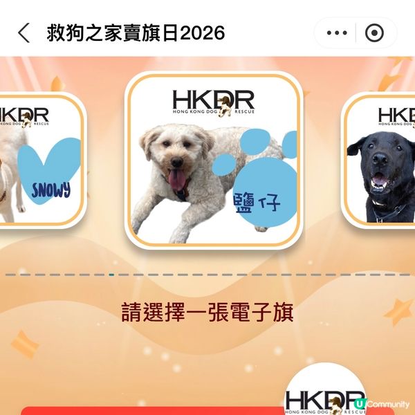 原來支付寶都可以賣旗，一齊撐「救狗之家」賣旗日