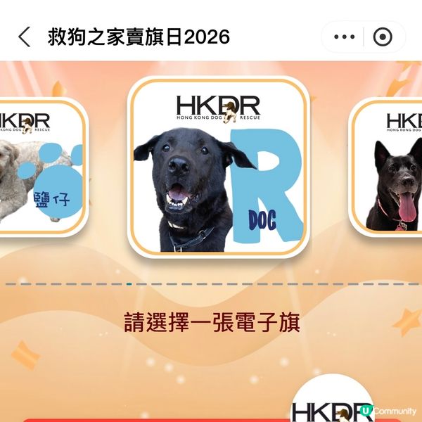 原來支付寶都可以賣旗，一齊撐「救狗之家」賣旗日