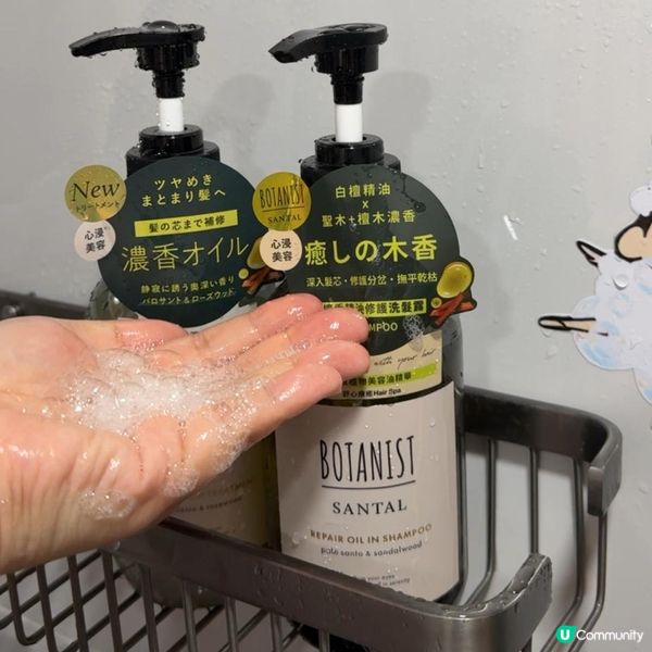受損髮真心得救