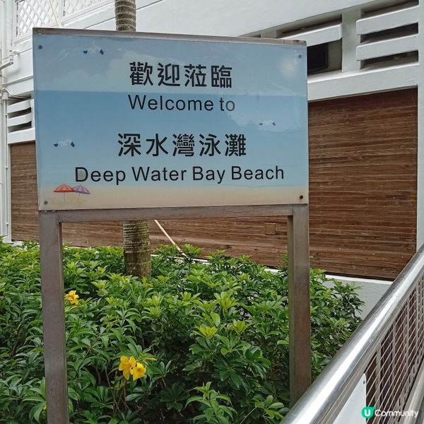 夏日郊遊玩水！☀️ 立即出發深水灣 🏊‍♀️