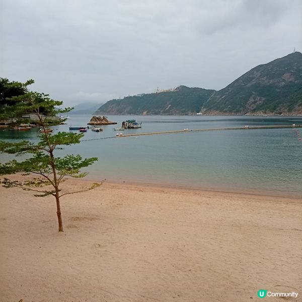 夏日郊遊玩水！☀️ 立即出發深水灣 🏊‍♀️