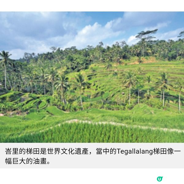 峇里世遺 梯田幸福3要素