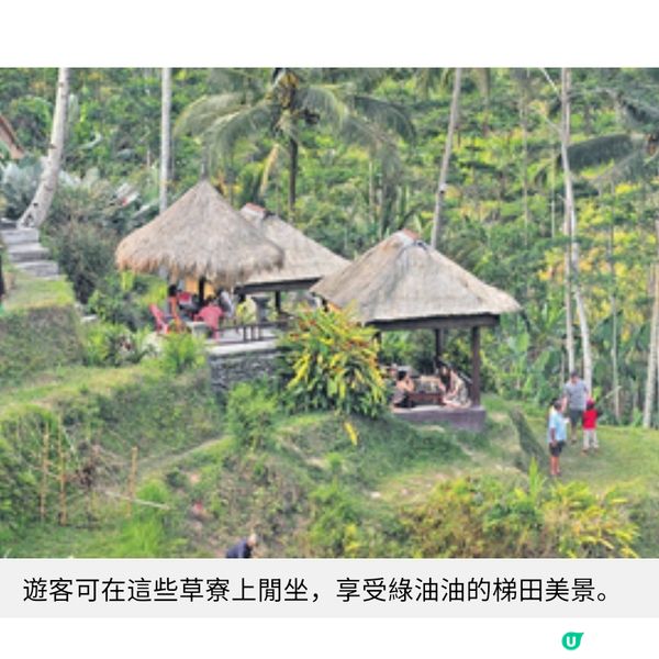 峇里世遺 梯田幸福3要素