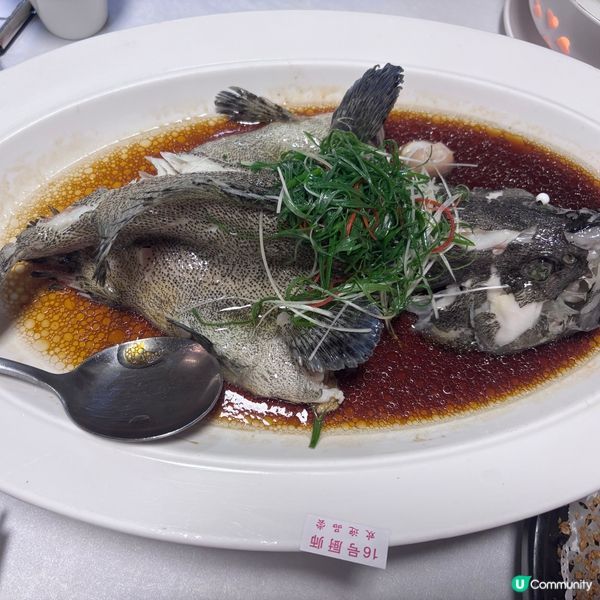 中國/深圳漁家打卡｜79號漁船海鮮市場風體驗🦀嘆爆鮮蟹大