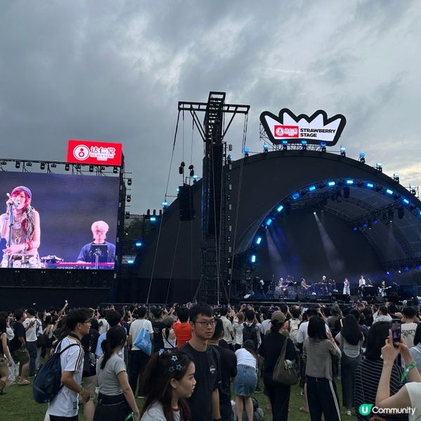 東莞草莓音樂節🍓🎶