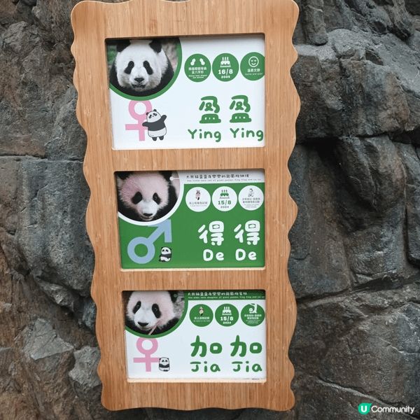 我最喜歡去海洋公園，主打海洋生態、水族館、熊貓館、威威天地、...