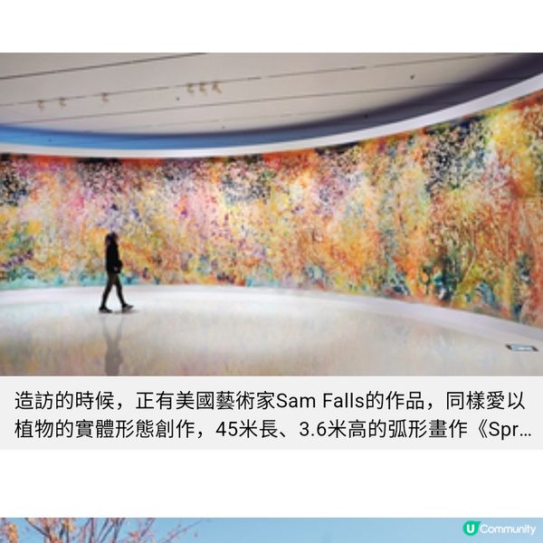 走訪廣島世界最美下瀨美術館 直擊漂浮水中藝術彩盒