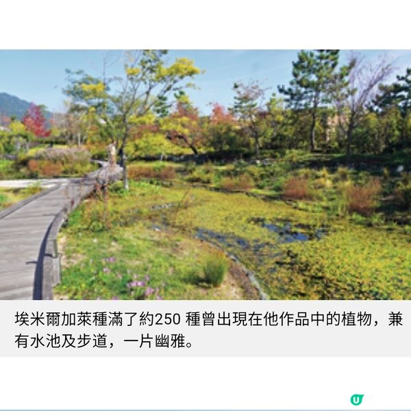 走訪廣島世界最美下瀨美術館 直擊漂浮水中藝術彩盒