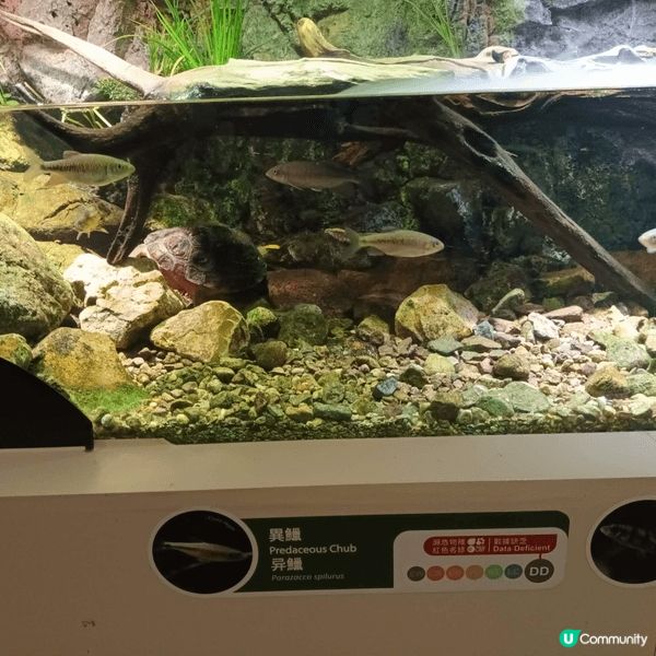 我最喜歡去海洋公園，主打海洋生態、水族館、熊貓館、威威天地、...