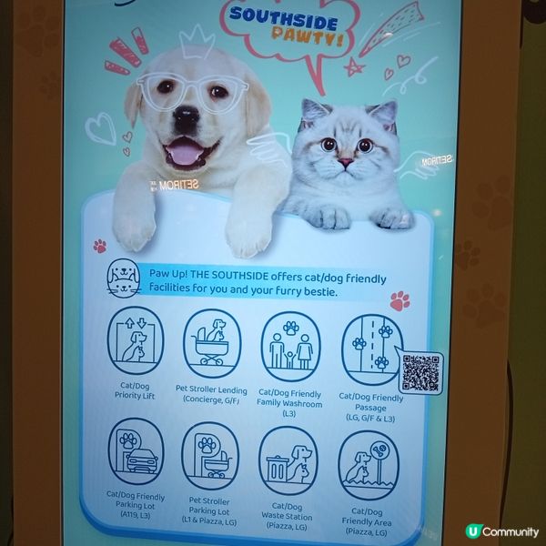 毛孩放電天堂🐾THE SOUTHSIDE盡享樂！