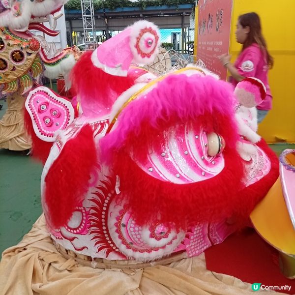 譚公誕🎉栩栩如生紮作展覽