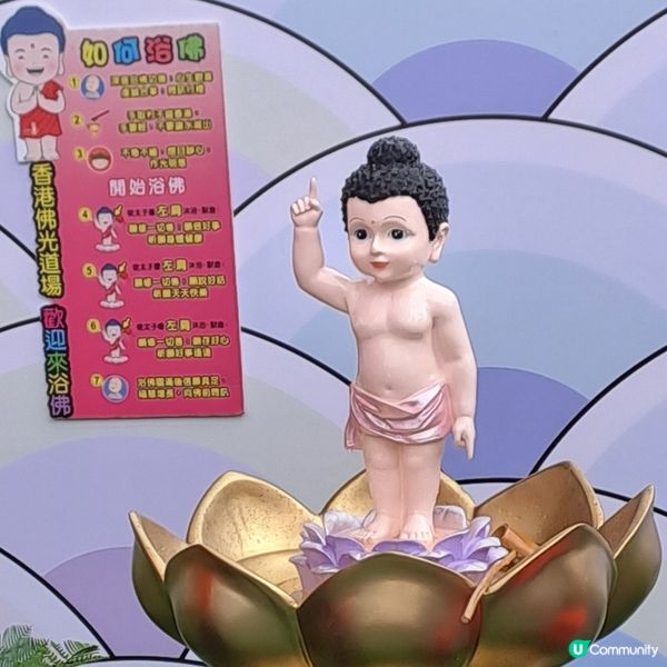 佛誕初嘗浴佛體驗🪷🙏