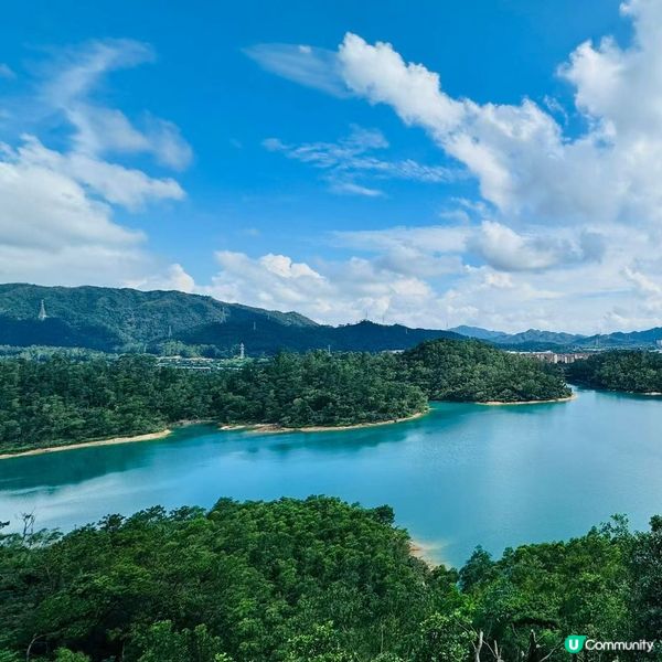 珠海斗門金台寺│隨手拍出禪意大片