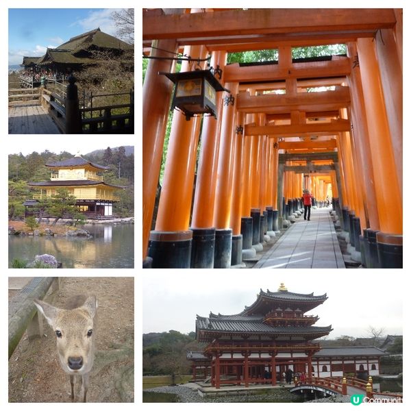 京都及周邊自由行攻略（含交通、行程編排技巧、美食、住宿地點）
