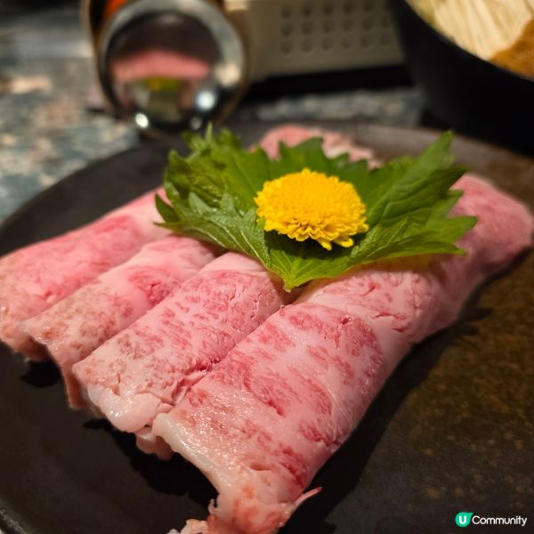 尖沙咀新日本居酒屋！🌟🥢