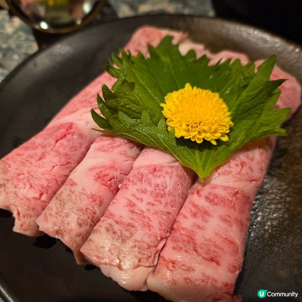 尖沙咀新日本居酒屋！🌟🥢
