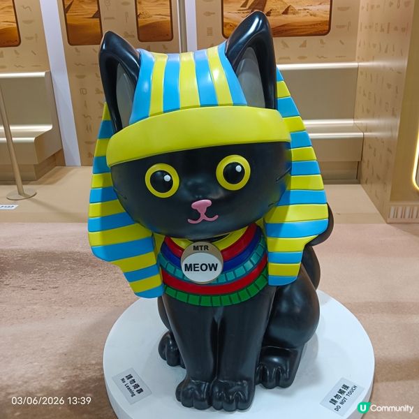 法老貓😺