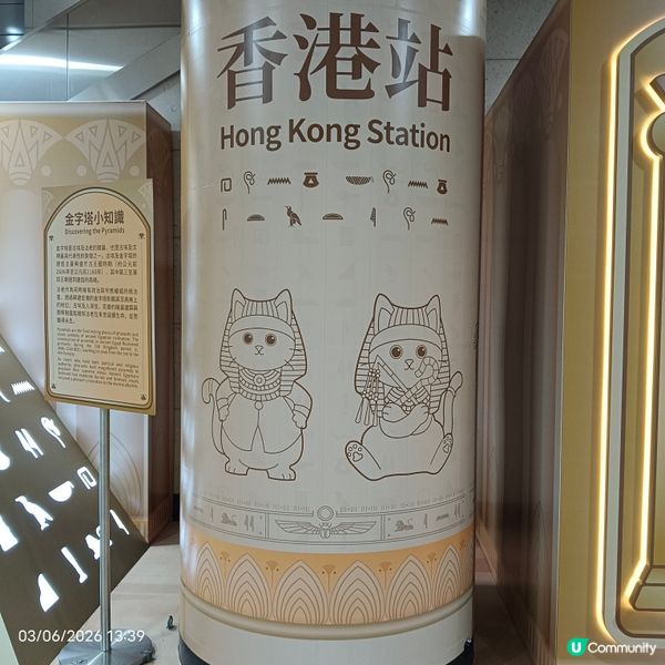 法老貓😺