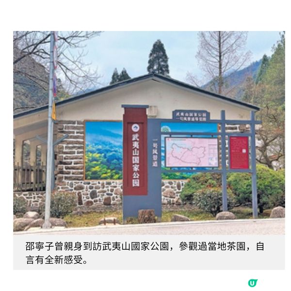 前廣告人開設心靈茶室與客以茶交流療癒情緒