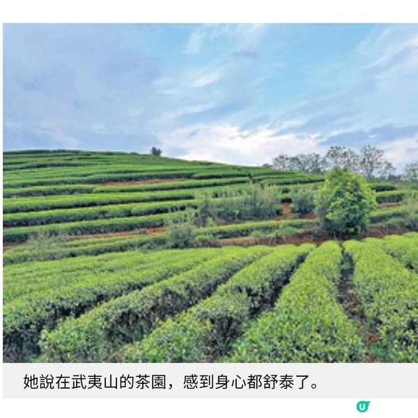 前廣告人開設心靈茶室與客以茶交流療癒情緒