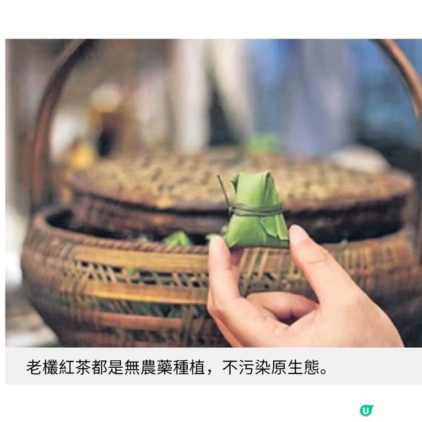 前廣告人開設心靈茶室與客以茶交流療癒情緒