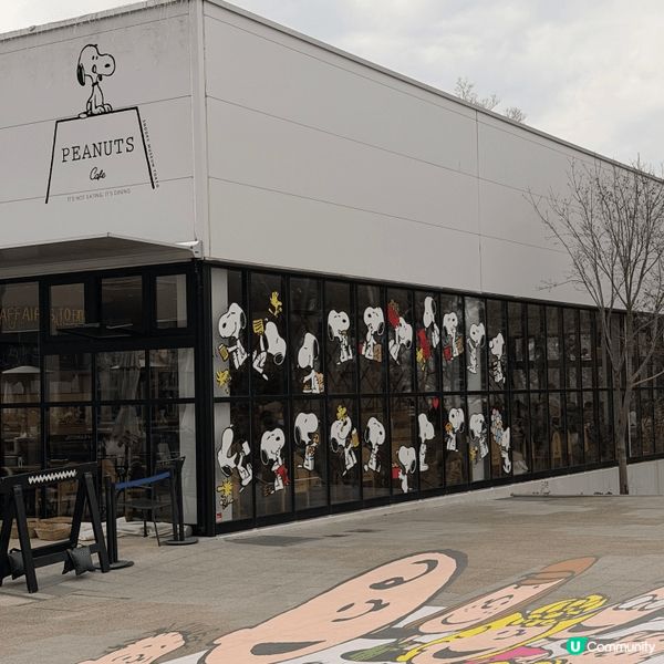 終於可以去到我嘅snoopy museum啦！仲整到我最想整...