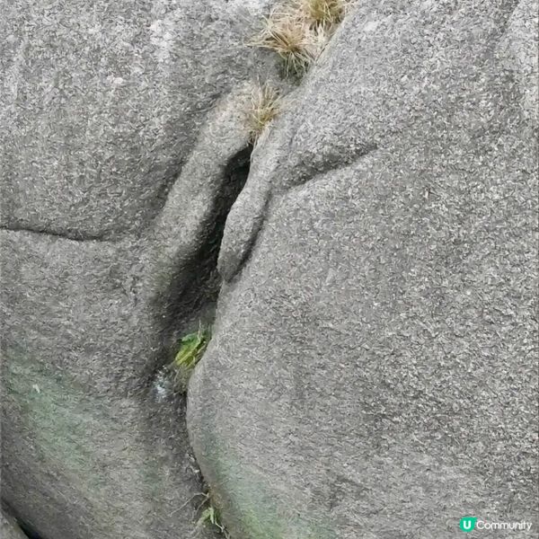 自然的力量