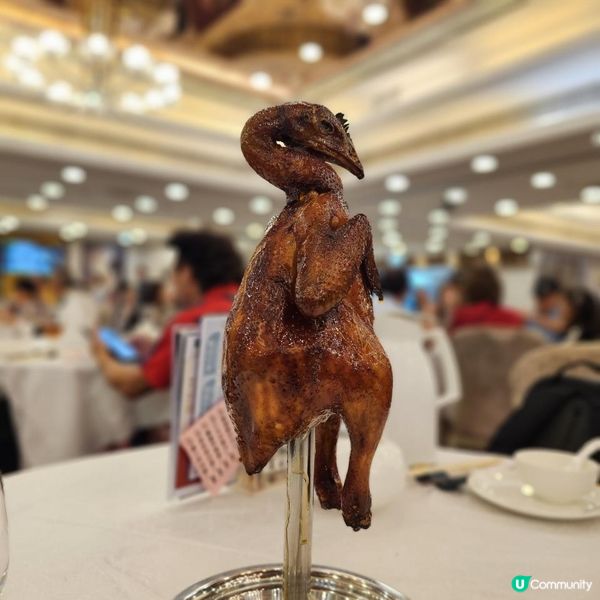 《十蚊雞唔食你就蝕》
