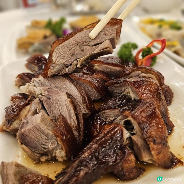 《十蚊雞唔食你就蝕》