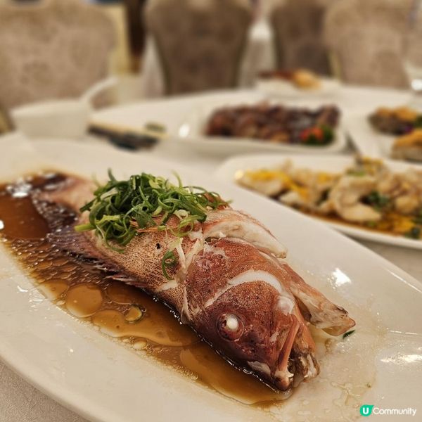 《十蚊雞唔食你就蝕》