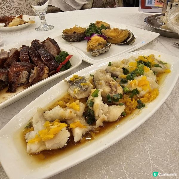 《十蚊雞唔食你就蝕》