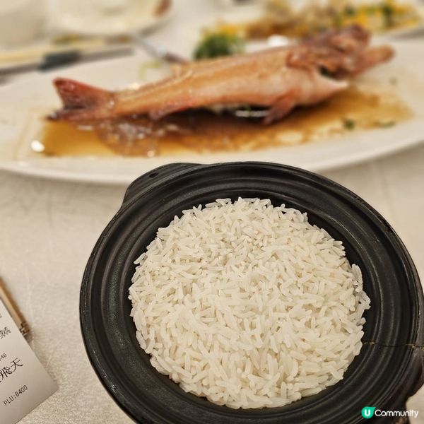 《十蚊雞唔食你就蝕》