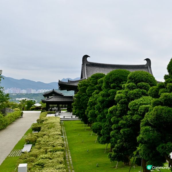 慈山寺：誠哥善心功德無量 🙏🙏