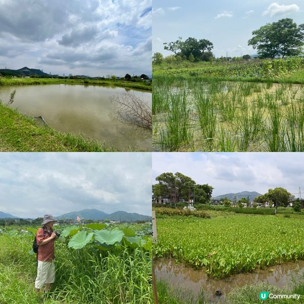 塱原賞鳥勝地！湿地🏞️🌿