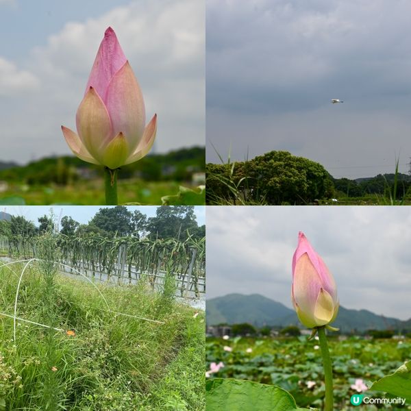 塱原賞鳥勝地！湿地🏞️🌿