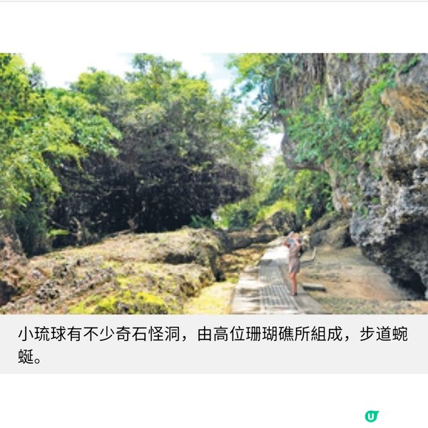 台灣小琉球 夏季浮潛海龜全接觸