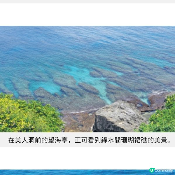 台灣小琉球 夏季浮潛海龜全接觸