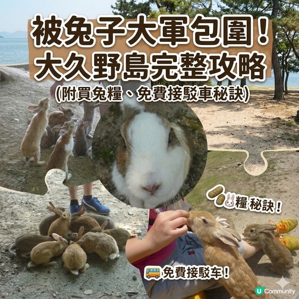 被兔子大軍包圍！大久野島完整攻略（附買兔糧、免費接駁車秘訣）