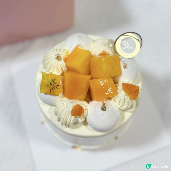 好想試！期間限定夏日夢幻蛋糕🥭🥳