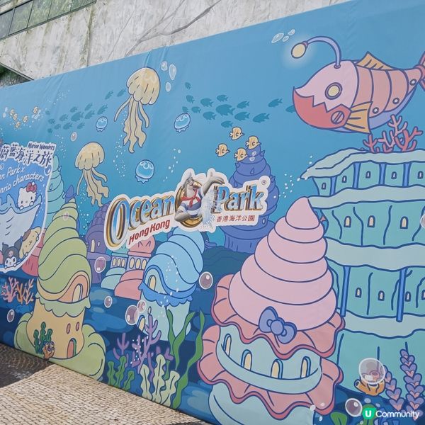 週末溜娃提案：海洋公園🍬👧